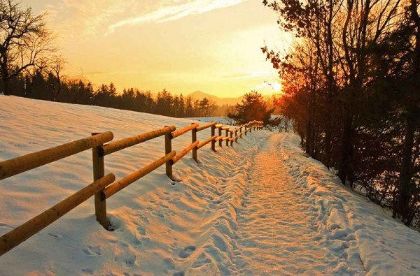 Shimla Manali Dharamshala / Ex-HYD