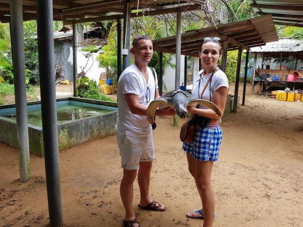 Family Vacation with FREE Turtle Hatchery Visit in Sri Lanka