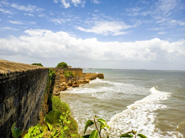 Gujarat Beaches & Wildlife