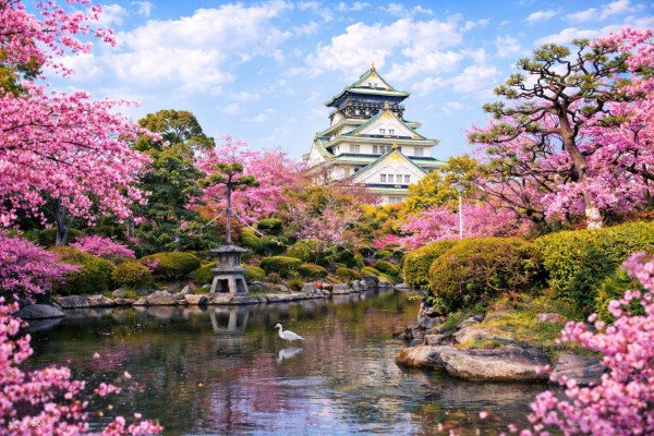 Golden Trio Awaits 🗼⛩️🏯  with Osaka Castle