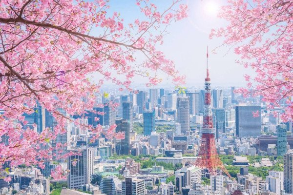 🗼 When Tokyo Meets Kyoto with Tokyo Tower