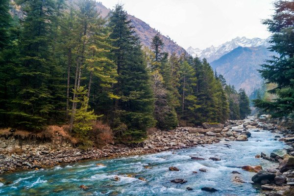 Kasol Parvati Valley with Trek to Tosh 🎒🥾