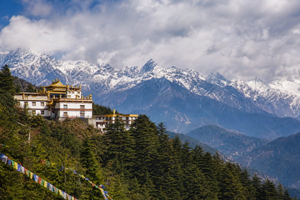 Dhauladhar Mountains - Himachal Special ⛰️🌄