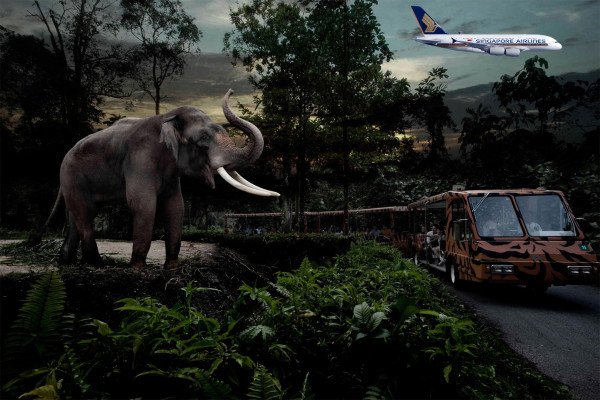 Perfect Singapore with Flights