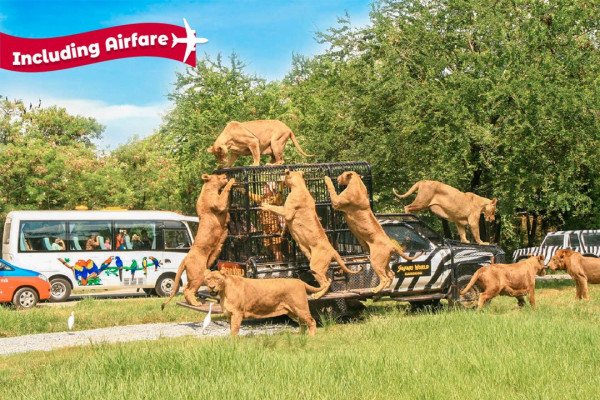 Bangkok & Pattaya with Safari World Tour including Flight